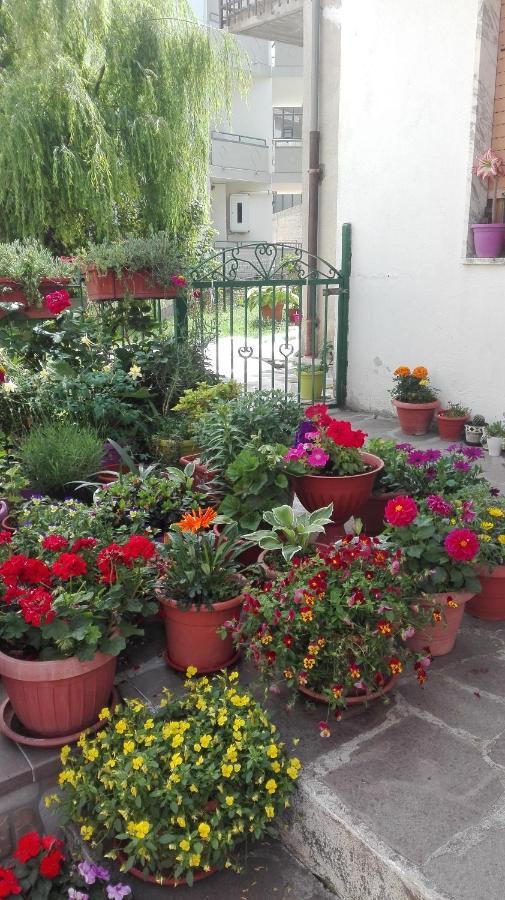 B&B A Casa Di Carla Castelsaraceno Экстерьер фото
